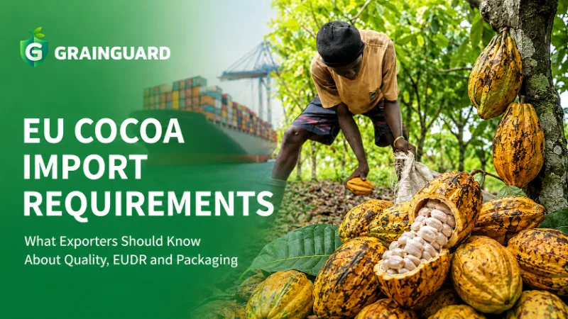 EU-importvereisten voor cacao Wat exporteurs moeten weten over kwaliteit, EUDR en verpakking